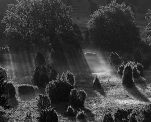 Oktober 2025: Freies Thema in Schwarz-Weiss - Franz Haberhauer: Sonnenaufgang über dem Totengrund