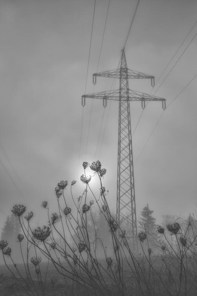 Januar 2026: Im Nebel - Reinhard Doll