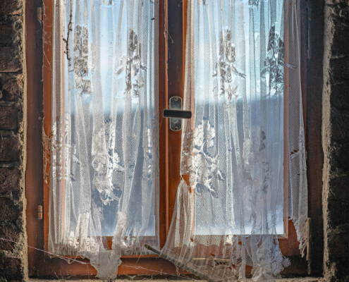 Frank_FdM_Januar_2026_Fenster_01