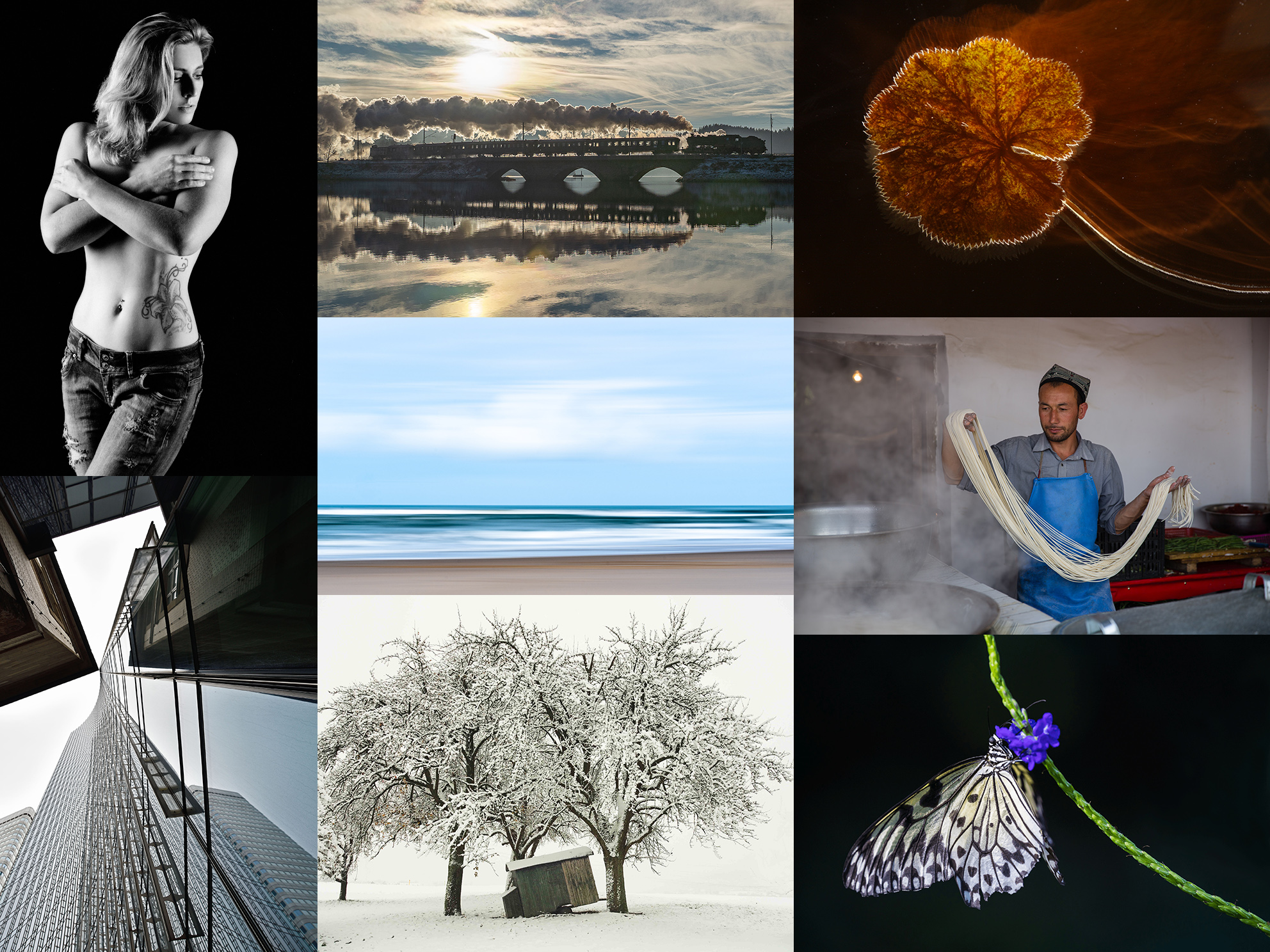 No. 7 - DieVielfalt der Fotografie - 2026